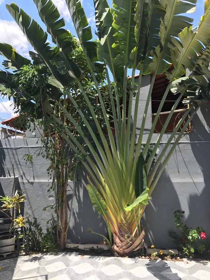Guilherme Hostel Fortaleza  Eksteriør billede